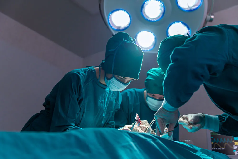 Stomach Apron Surgery: A Complete Guide to Panniculectomy